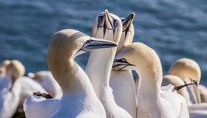 欢迎在宝塔面板安装Z-BlogPHP！